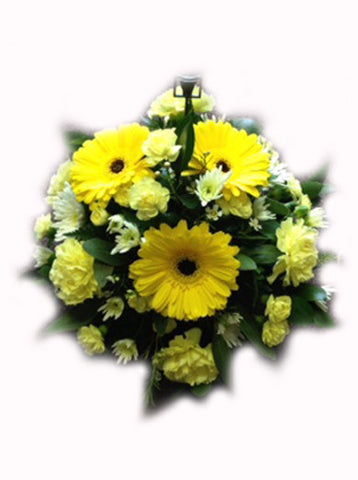 The Bright Eyed Posy