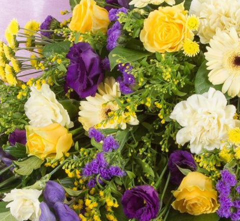 The Open tied sheath