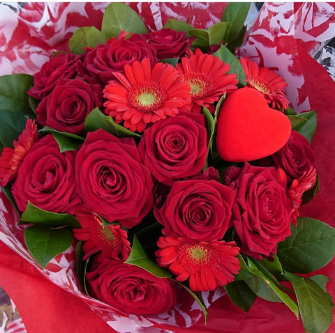 Youthful germini mix