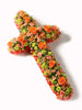 The Vibrant Cross