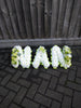 NAN tribute