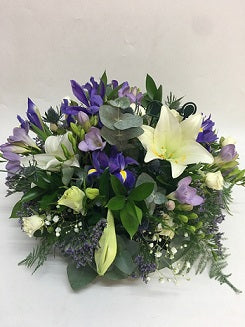 The wild lilac posy pad