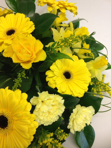 The Yellow Gerbera Single End