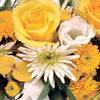 The Eco funeral casket spray with garlands